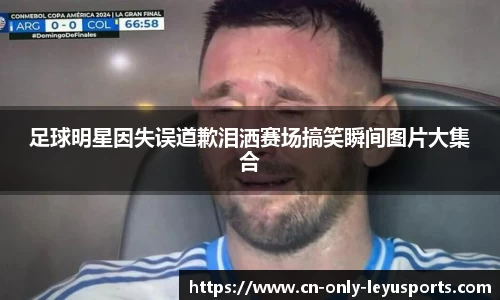 足球明星因失误道歉泪洒赛场搞笑瞬间图片大集合